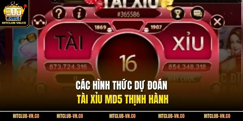 Các hình thức dự đoán tài xỉu MD5 thịnh hành