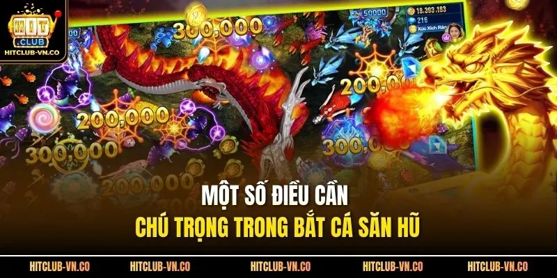 Một số điều cần chú trọng trong bắt cá săn hũ