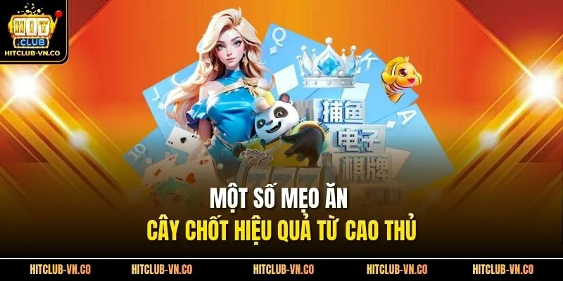 Một số mẹo ăn cây chốt hiệu quả từ cao thủ