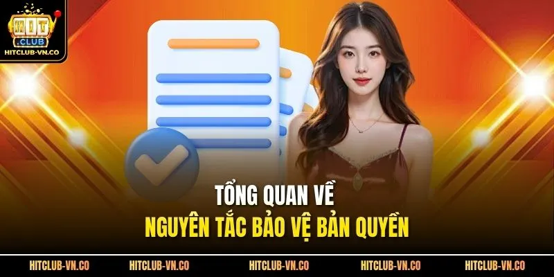 Tổng quan về nguyên tắc bảo vệ bản quyền